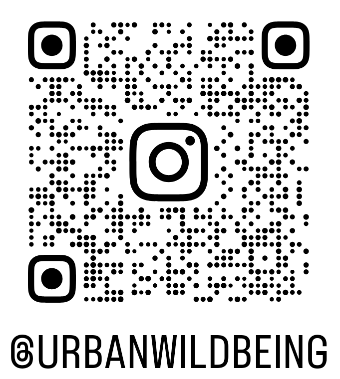 QR Code for Instagram